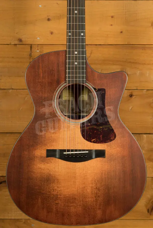 Eastman AC222CE | Classic