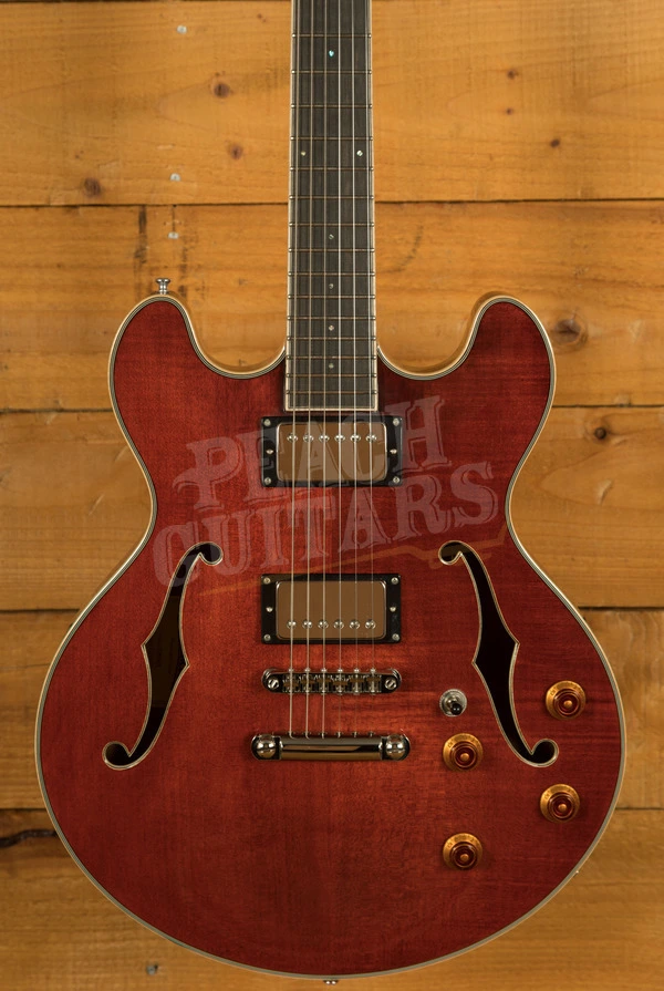 Eastman Truetone Gloss T185MX | Classic