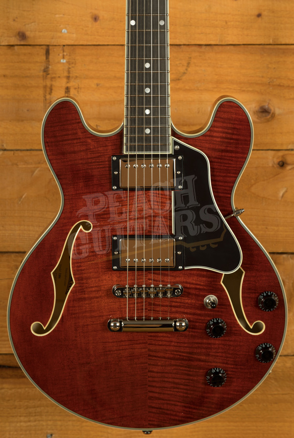 Eastman Electric Thinline - Truetone Gloss | T484 - Classic