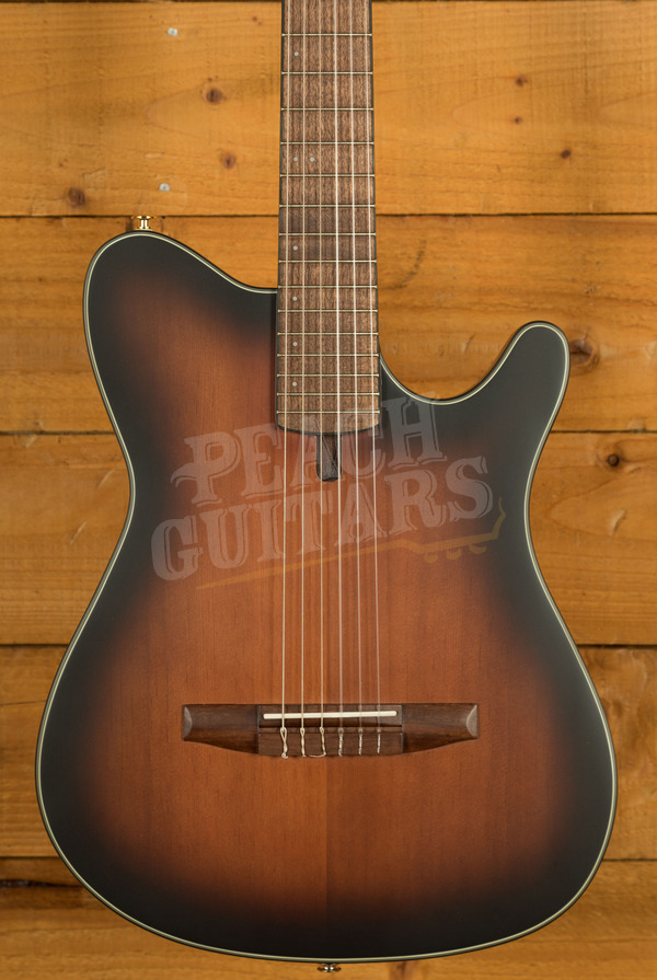 Ibanez FRH Acoustic Guitars | FRH10N - Electro-Nylon - Brown Sunburst Flat