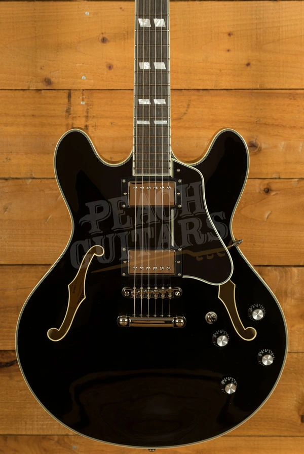 Eastman Electric Thinline - Truetone Gloss | T486 - Black