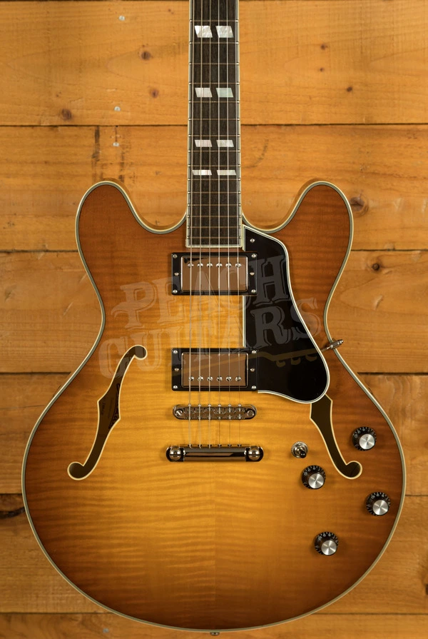 Eastman Truetone Gloss Thinline Series | T486-GB - Goldburst 