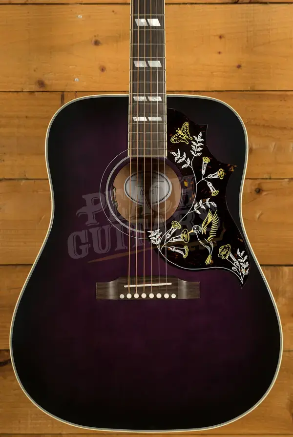 Gibson Hummingbird Standard Purple Burst
