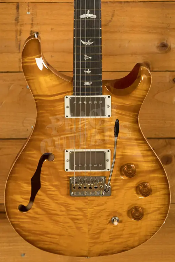 PRS DGT Semi Hollow - McCarty Sunburst Birds