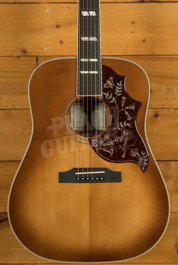 Sigma SG Series | DM-SG5 - Heritage Cherry Sunburst