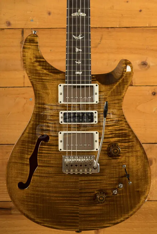PRS Special Semi Hollow Black Gold 