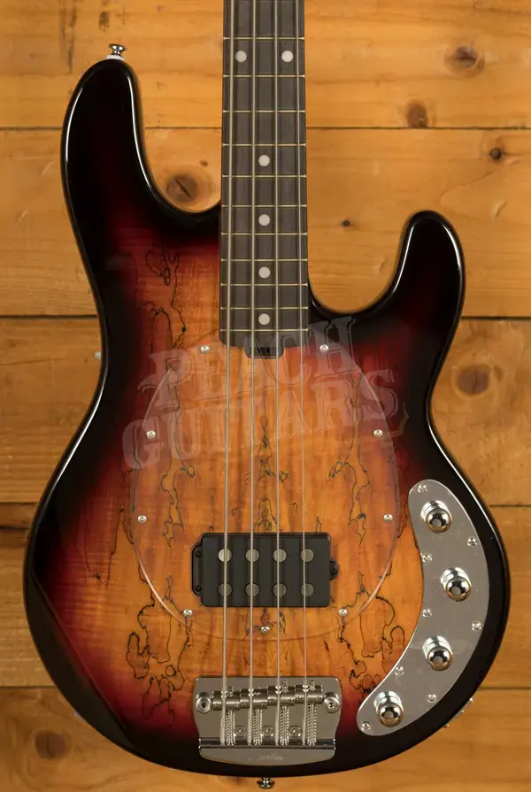 Sterling RAY34SM StingRay Bass - Spalted  3-Tone Sunburst