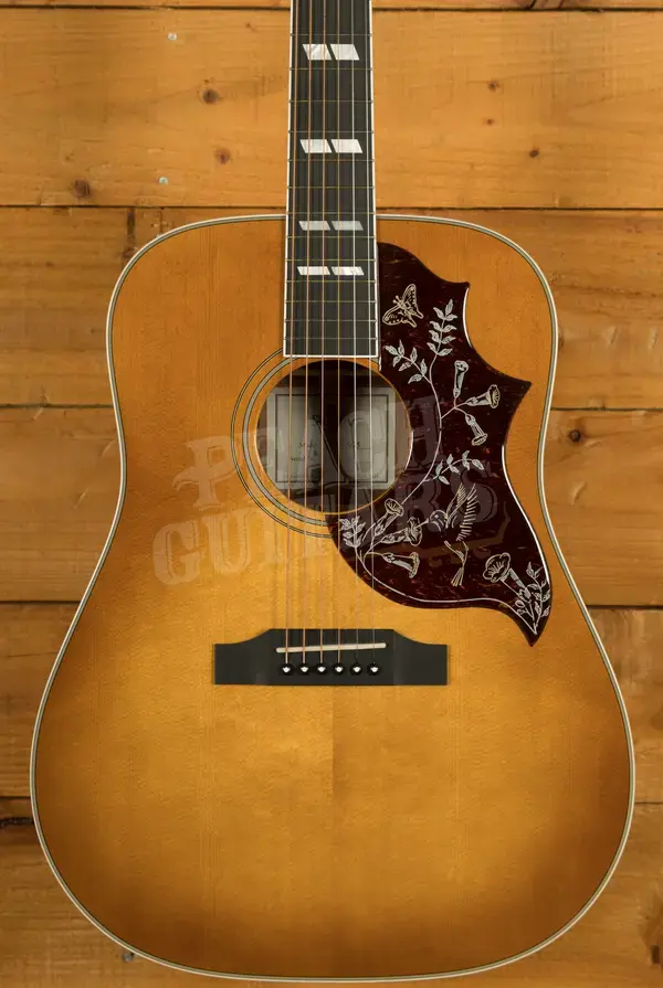 Sigma SG Series | DM-SG5 - Heritage Cherry Sunburst
