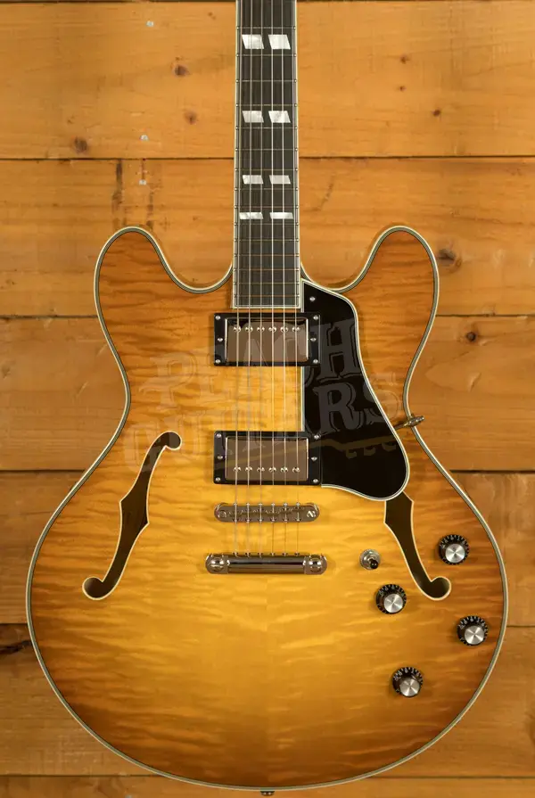 Eastman T486 - Goldburst