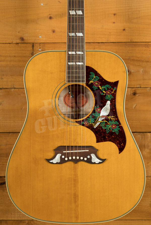 Epiphone Inspired by Gibson Custom 1963 Dove Reissue | Natural