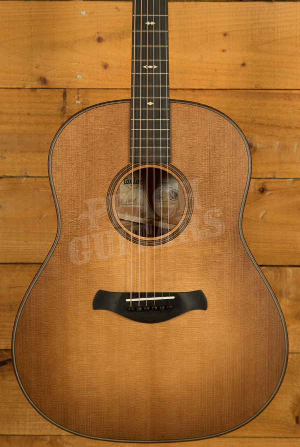 Taylor 500 Series | Builder's Edition 517 - Wild Honey Burst 