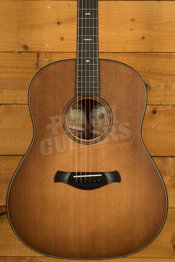 Taylor 500 Series | Builder's Edition 517 - Wild Honey Burst 