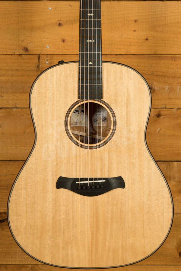 Taylor 500 Series | Builder's Edition 517e - Natural