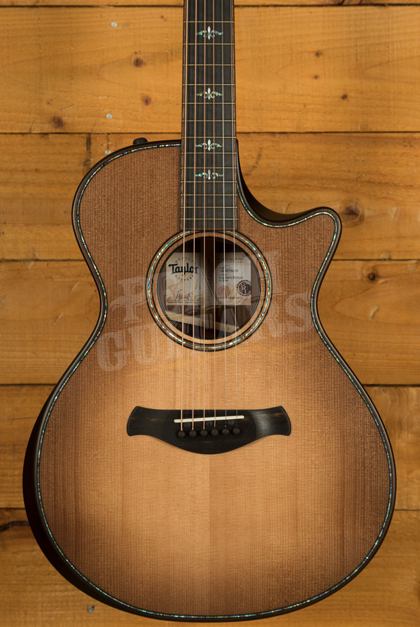Taylor 900 Series | Builder's Edition 912ce - Wild Honey Burst