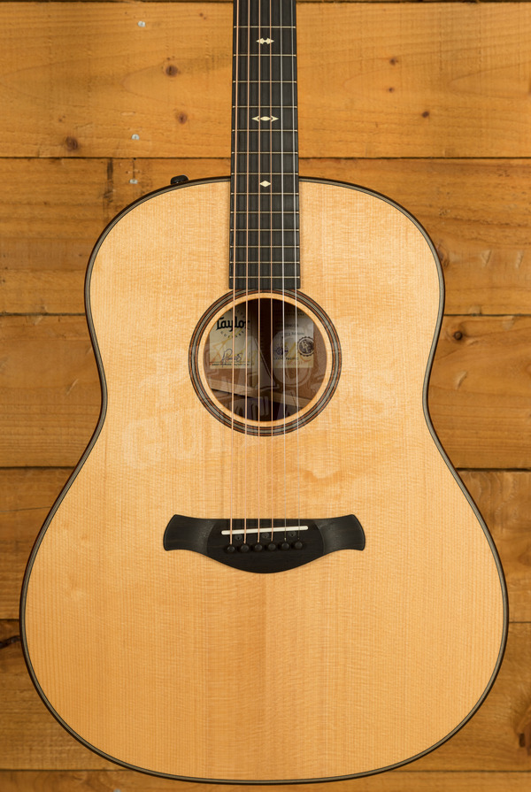Taylor 500 Series | Builder's Edition 517e - Natural