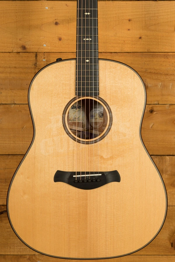 Taylor 500 Series | Builder's Edition 517e - Natural