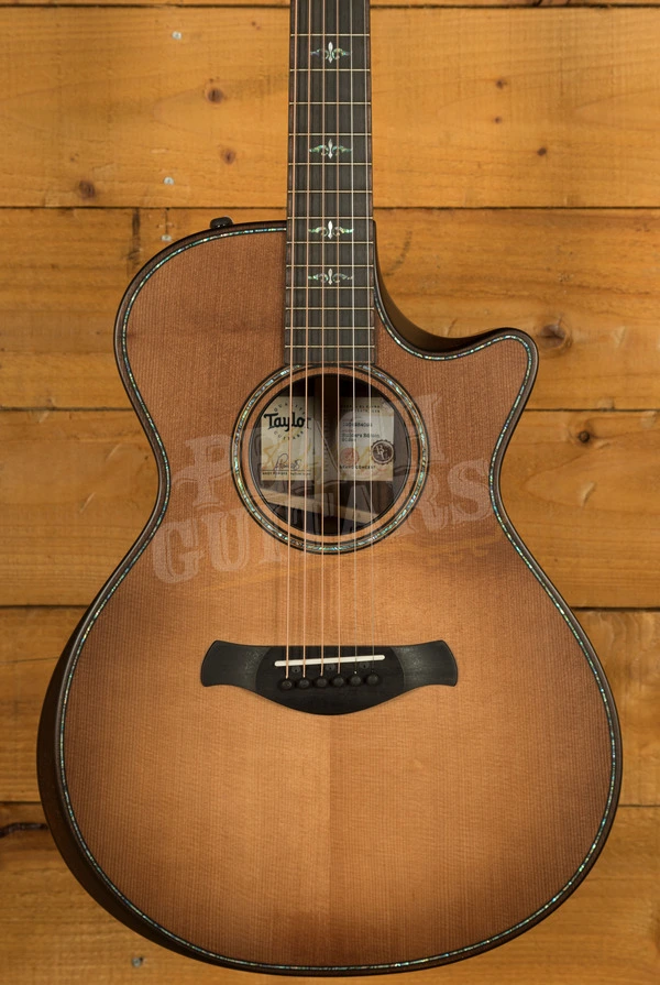 Taylor 900 Series | Builder's Edition 912ce - Wild Honey Burst