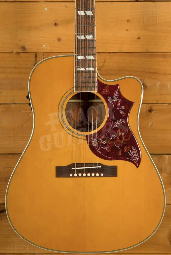 Epiphone Hummingbird Standard EC | Natural