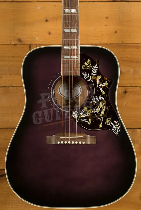 Gibson Hummingbird Standard Purple Burst