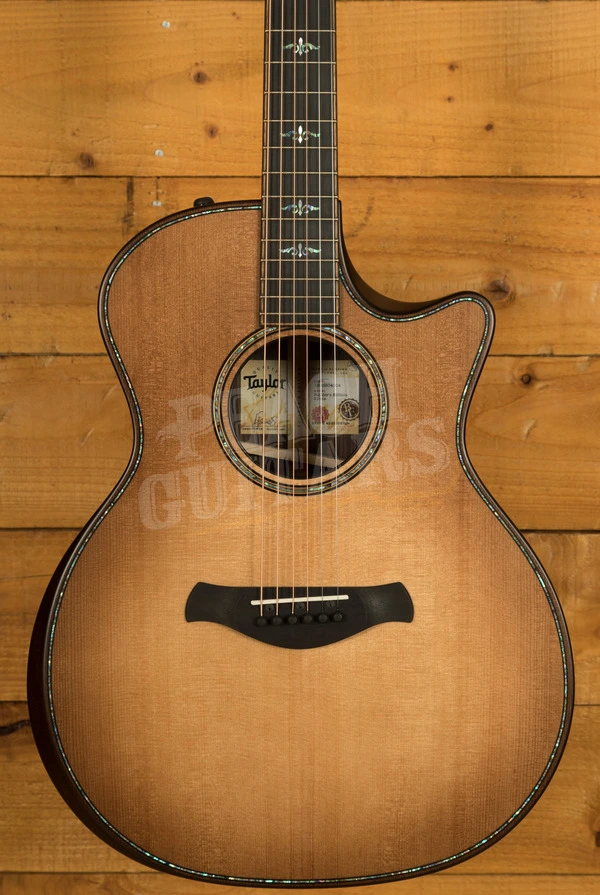 Taylor(テイラー)914ce Builder's Edition 097a7794_46be03f191.webp