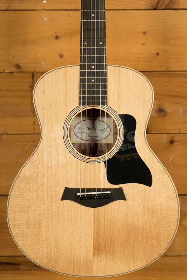 Taylor GS Mini Series | GS Mini Sapele