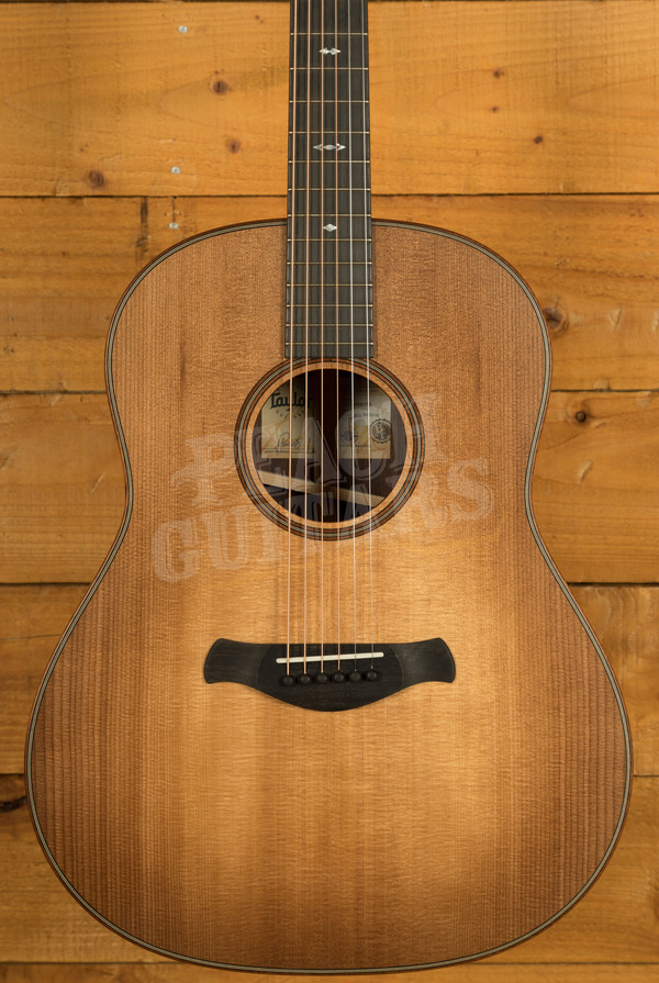 Taylor 700 Series | Builder's Edition 717 - Wild Honey Burst