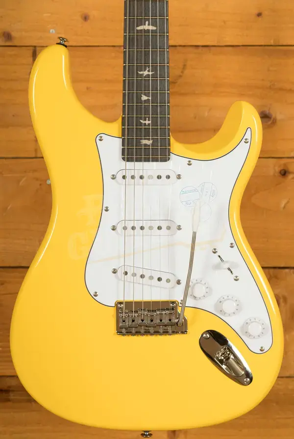 PRS SE Signature | SE John Mayer Silver Sky Rosewood - Dandy Lion