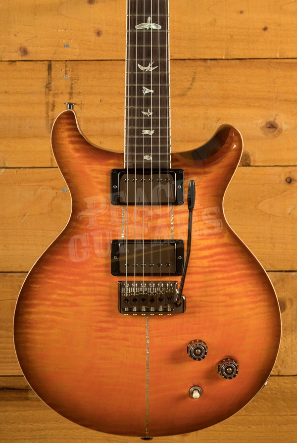 PRS Santana Retro | Custom Colour - Smoked Black Hardware