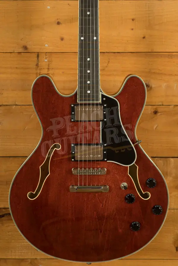 Eastman T386 - Ebony - Classic
