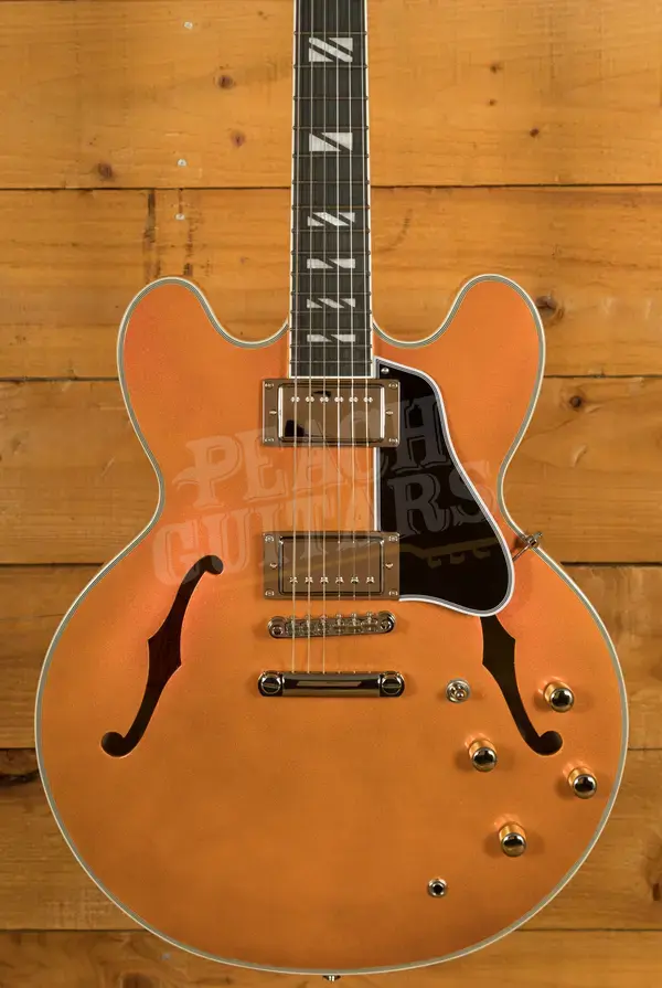 Epiphone Futura ES-355 | Firestorm Shift