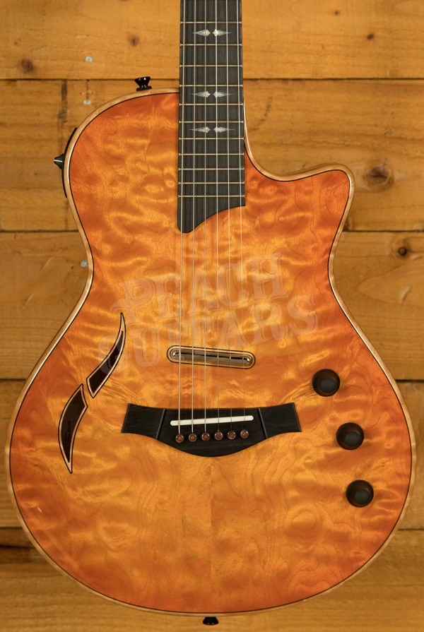 Taylor Custom | Custom #22: T5z