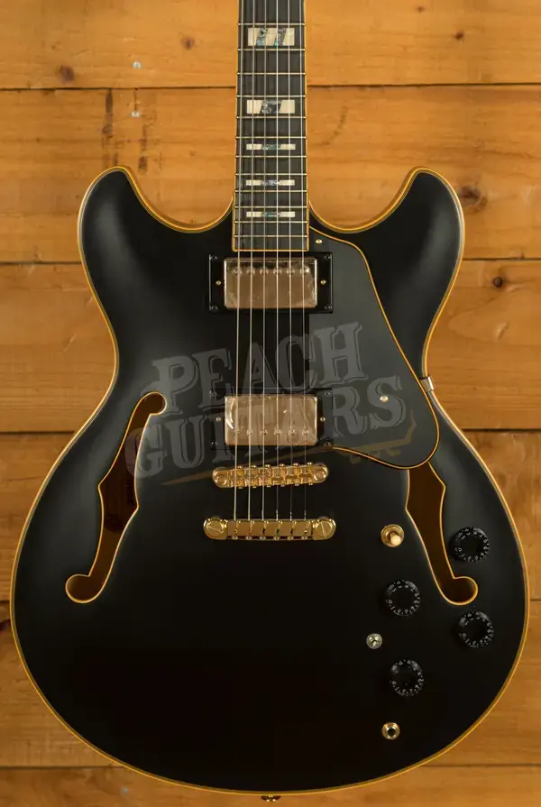 Ibanez Signature Models | JSM20 - John Scofield - Black Low Gloss
