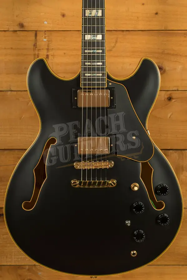 Ibanez JSM20 John Scofield Hollow Body - Ebony - Black Low Gloss