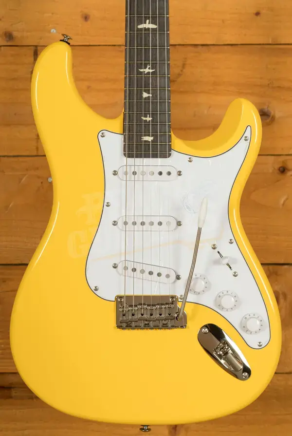 PRS SE Signature | SE John Mayer Silver Sky Rosewood - Dandy Lion