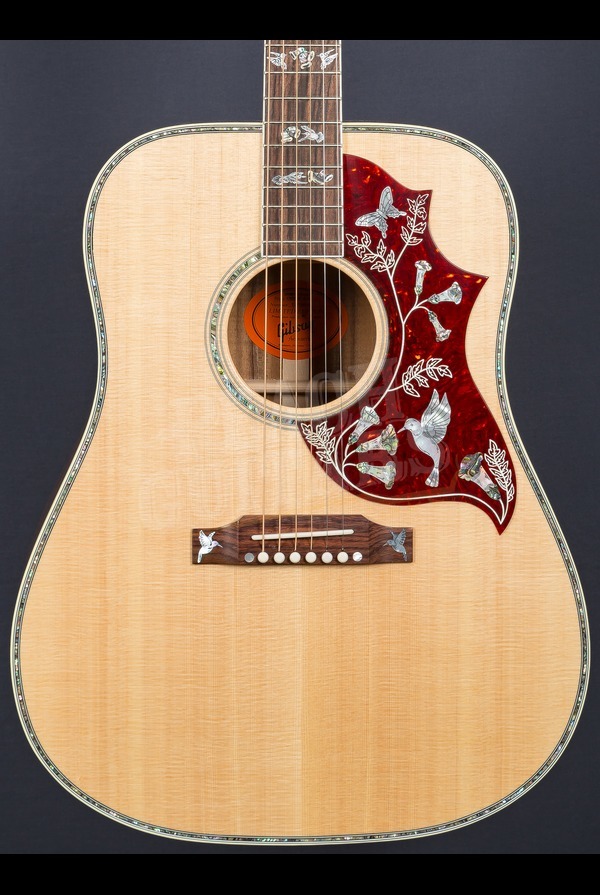 hummingbird custom koa