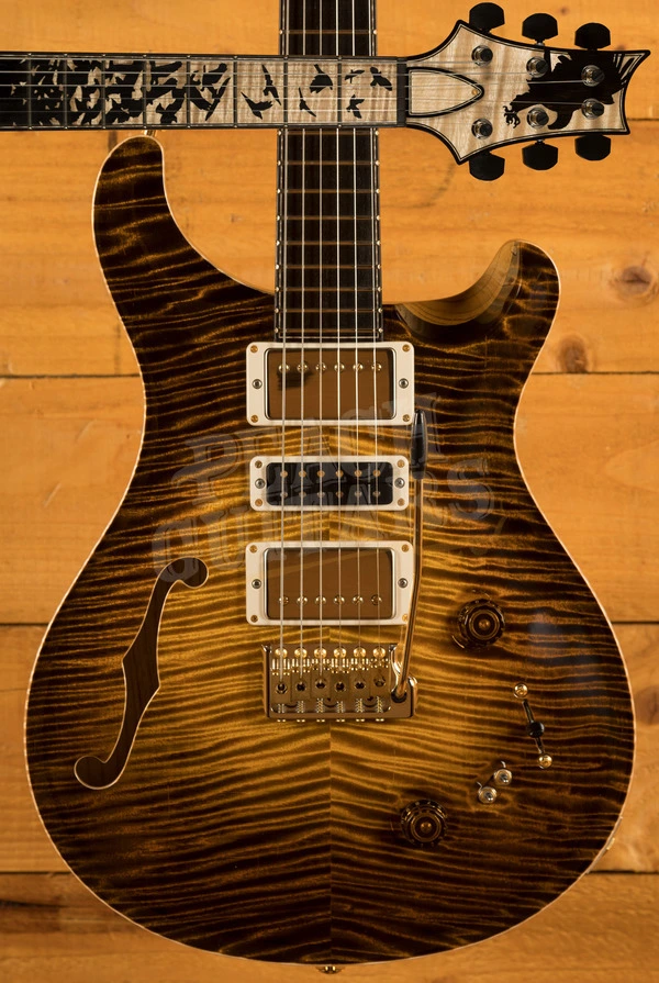 PRS Private Stock Special Semi-Hollow "Birds of a Feather" 