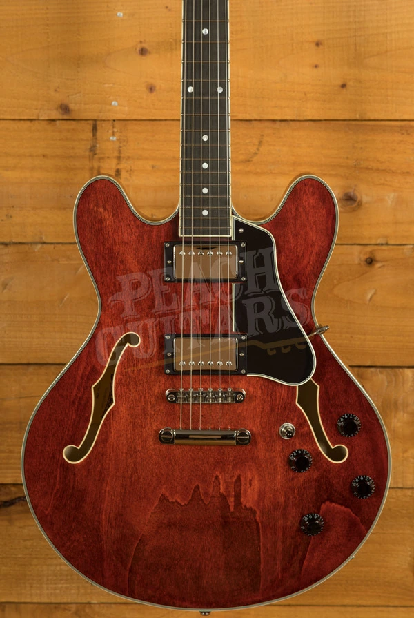 Eastman Truetone Gloss T386 | Classic