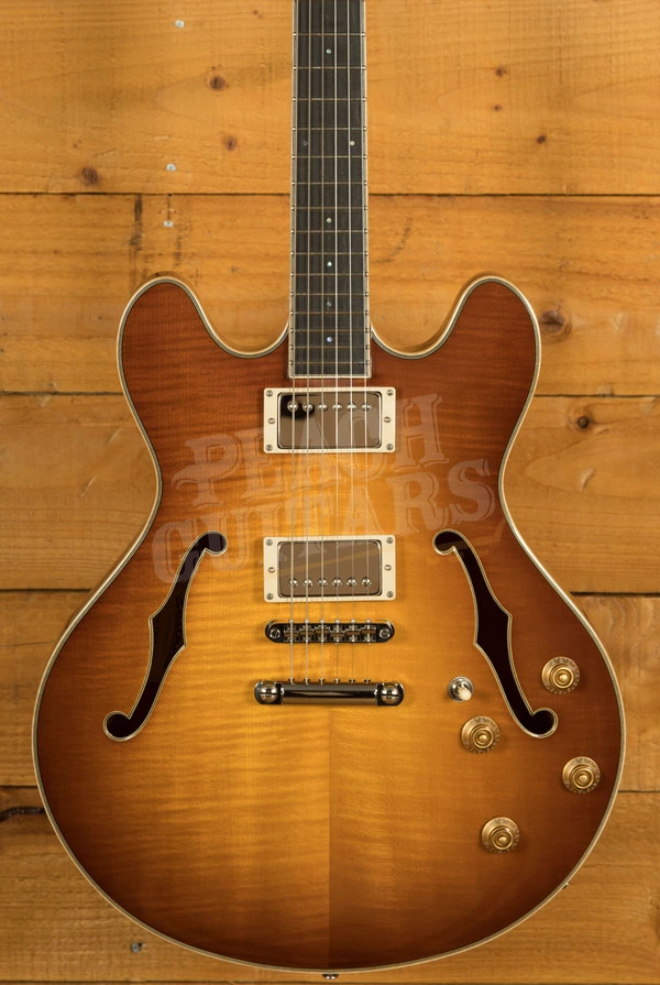 Eastman Truetone Gloss T186MX-GB | Goldburst