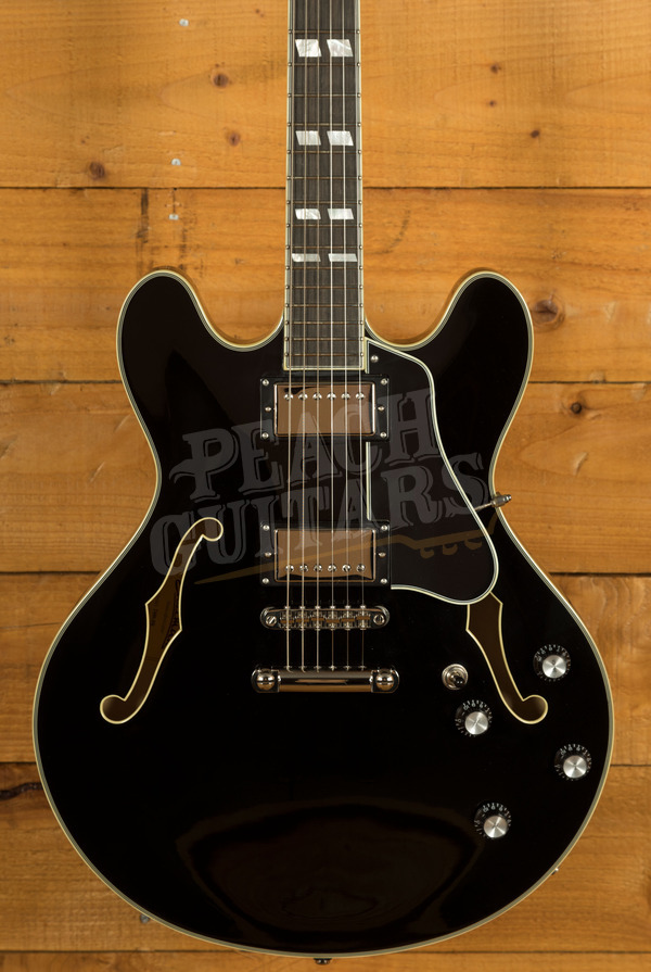 Eastman Electric Thinline - Truetone Gloss | T486 - Black