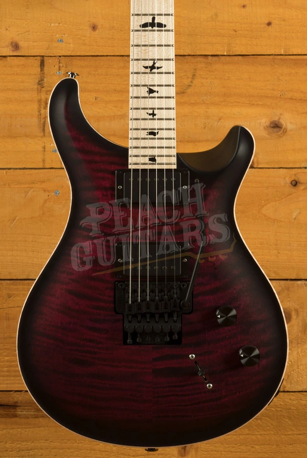 PRS Dustie Waring CE - ZV - Waring Burst