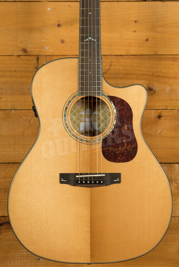 cort gold a6 acoustic electric guitar price