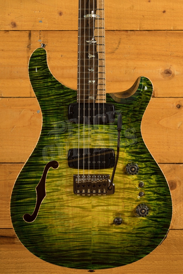 PRS Private Stock | Custom 24-08 Semi Hollow - Rainforest Glow