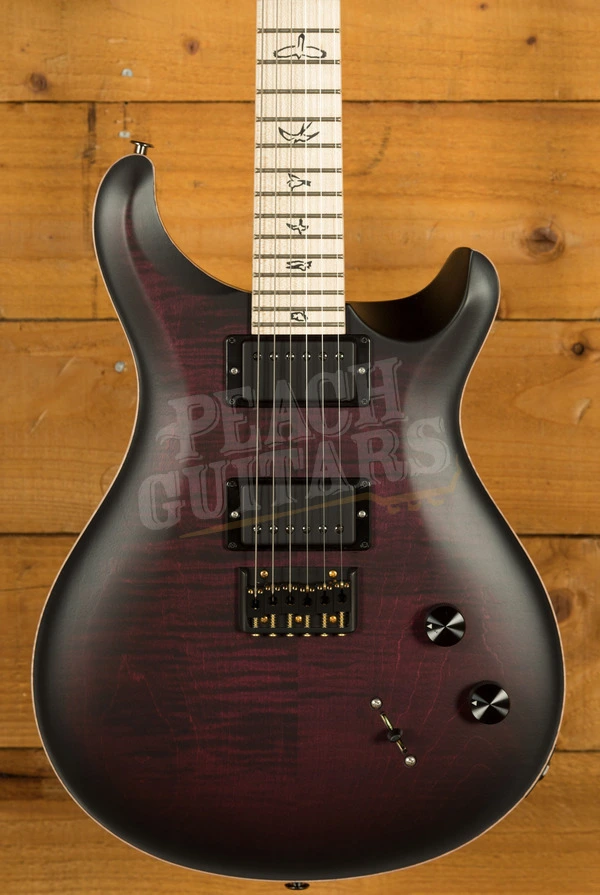 PRS Dustie Waring CE 24 Hardtail Limited Edition - Waring Burst