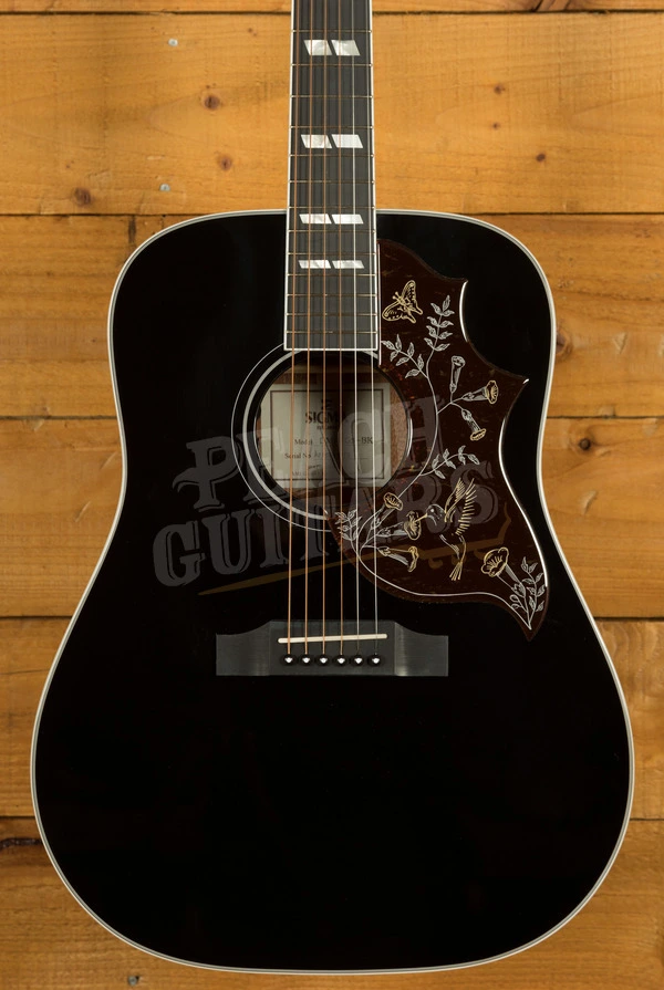 Sigma DM-SG5 Black Dreadnought Fishman Sonitone Pickup