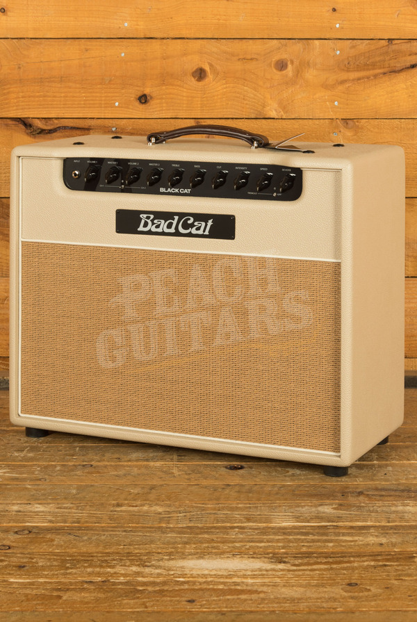 Bad Cat Black Cat | 20-Watt Combo - Custom Colour Buttercream Bronco