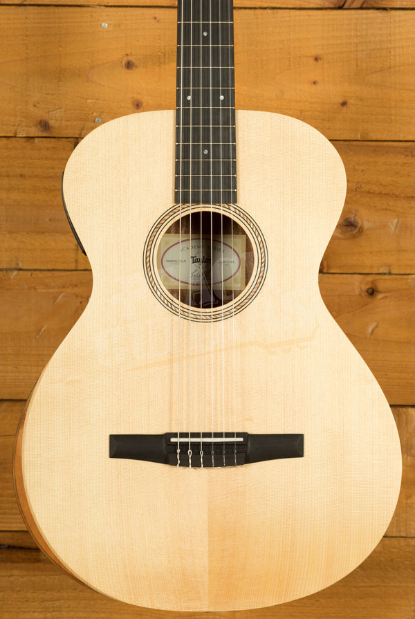 Taylor Academy Series | Academy 12e-N - Nylon