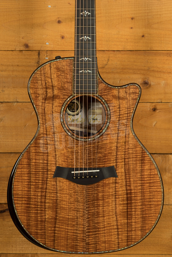 Taylor 50th Anniversary Collection | 924ce-K LTD & Circa 74 Amp