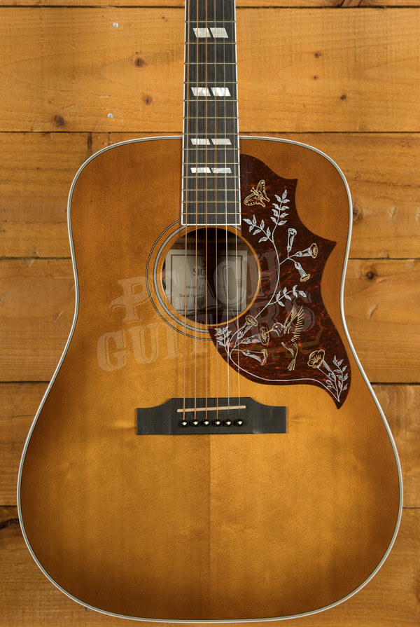 Sigma DMSG5+ Electro Acoustic - Solid Spruce Top - Used