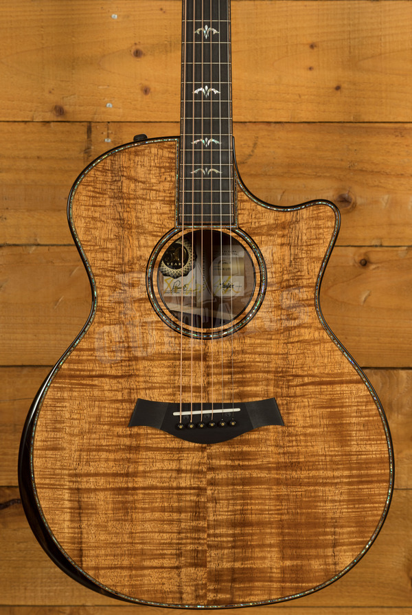 Taylor 50th Anniversary Collection | 924ce-K LTD & Circa 74 Amp