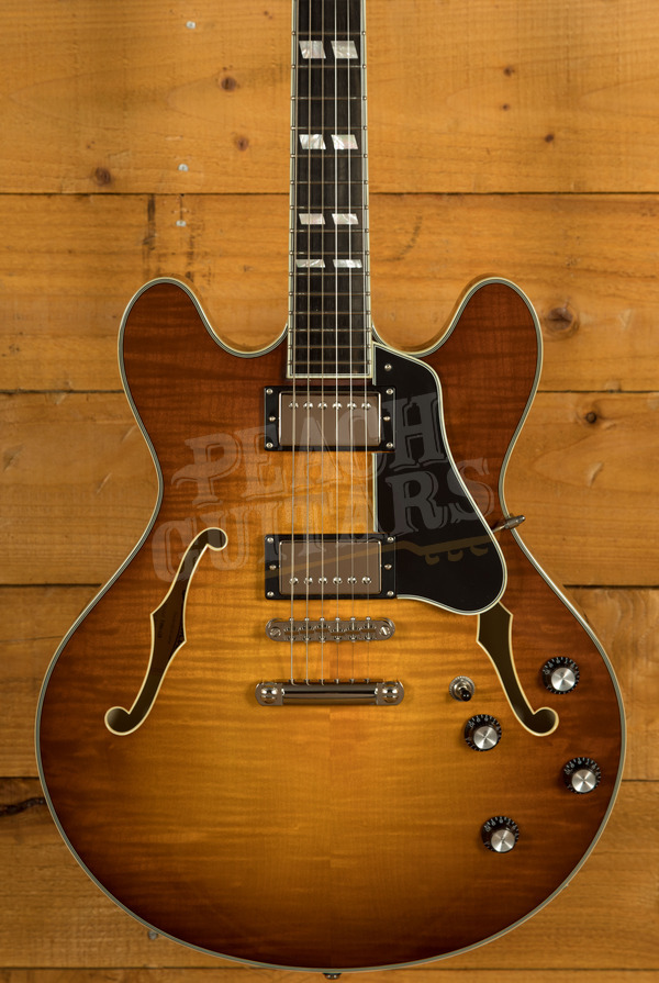 Eastman Truetone Gloss Thinline Series | T486-GB - Goldburst 